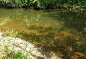 creek bank